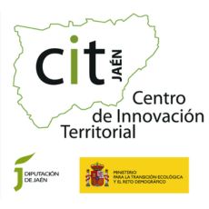 Centro de Innovación Territorial